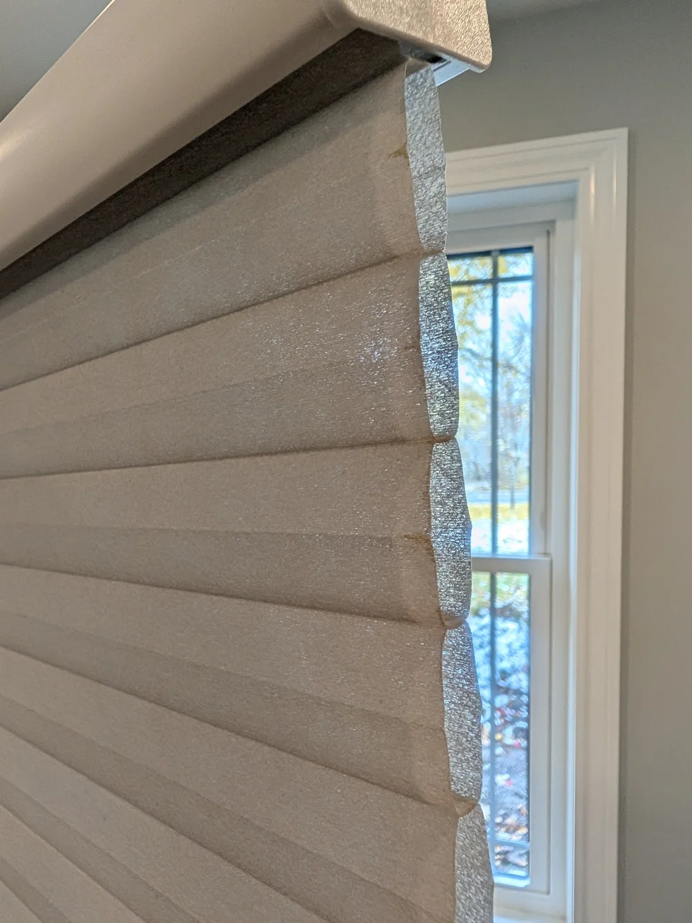 SELECT BLINDS Classic Light Filtering Cordless Cellular Shades 39.75